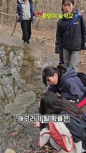 연못을 가득 채운 개구리알 개구리가 될 롹률 생명 가볍지 않은(성남 숲체험학습)