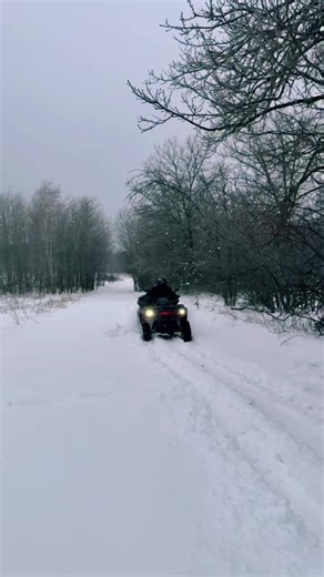 ТГ: Romash (@tg_romash)’s videos with оригинальный звук - mount