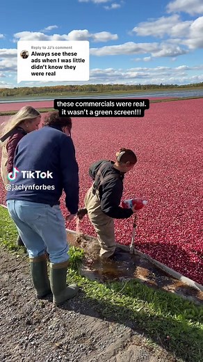 The Truth Behind Ocean Spray's Cranberry Commercials