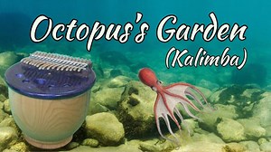 Octopus's Garden - The Beatles Kalimba Tabs Letter & Number Notes Tutorial - KalimbaTabs.net