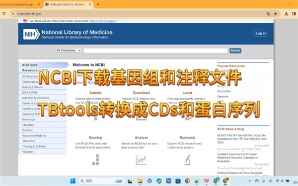 NCBI下载基因组和注释文件，TBtools转换成CDs和蛋白序列