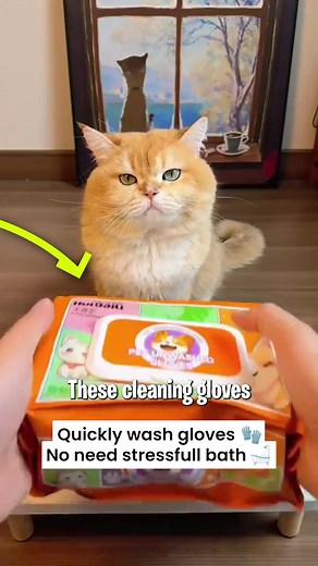 “Perfect for quick cleanups! Even my water-hating cat stays calm. Makes daily routines so much easier. Highly recommend!” | Happy-Luna