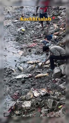 Kachhi talab patna bihar 😭 #patna #minivlog #viral #trending #shorts