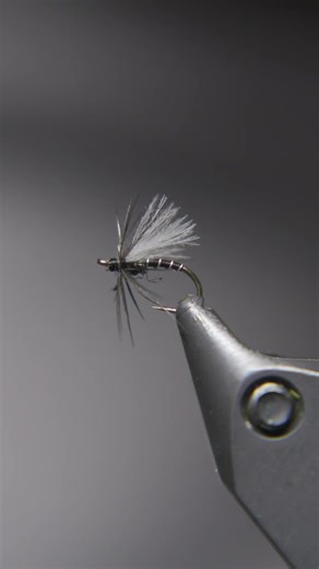 Soft Hackle Dry Midge: The Perfect Winter Fly