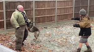 36K views · 1.4K reactions | Sarah & Annie the GSD this is this teams...