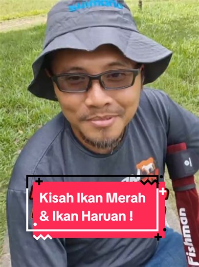 Kisah Ikan Merah Dan Ikan Haruan Di Laut