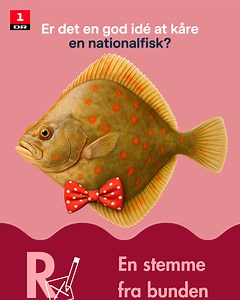 1.1M views · 11K reactions | Er det en god idé at kåre en dansk...