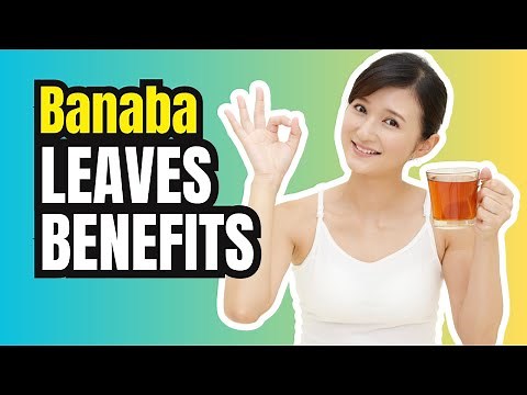 Banaba Napakabisang Halamang Gamot Sa Kidney | Health Benefits Of Banaba Leaves
