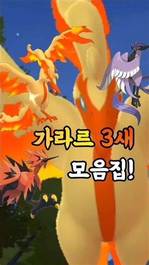 산책향로에서 조우했던 가라르 3새들 모음집! 이로치가 그래도 2번이나! 이렇게 보니까 많이 만난 것 같기도?? [#포켓몬고] #Shorts