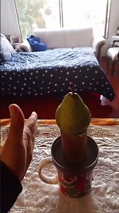 force and motion experiment #house experiment #science #teaching #forces #phisics