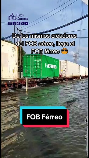 FOB Férreo Memes and Incoterm Explained