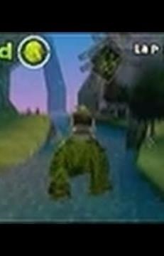 Shrek Smash n Crash Racing Nintendo DS