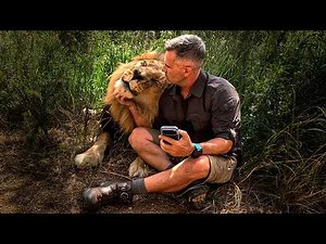 Kevin Richardson Helps LION Friend with Ringworm | The Lion Whisperer