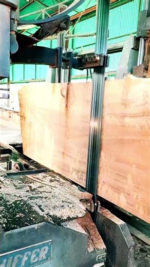 Saw Band Sawmill in action