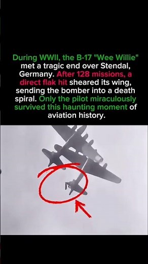 The pilot was blown clear and lived to tell it #wwii #warbirds #shorts