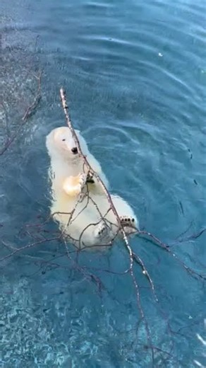 Laerke found the perfect winter toy: a giant stick!