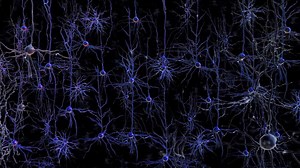 17 reactions · 15 shares | Optogenetics is key to helping understand neurobiology and neuroscience | World Genetics | Facebook