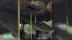 Boy receives minor injuries after carousel panel from Jacksonville Zoo collapses