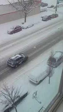 Sunday 1/25/26 Chicago Snow Day From my Apartment Window