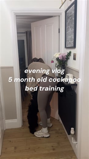 SYDNEY ✨ on Instagram: "Evening vlog with our 5 month cockapoo 🐶✨ The crate is now gone and we are training the bed and slowly moving this from our bedroom and we are now in the hallway! He still has a lot of separation anxiety but slowly getting there. Any tips welcome 🫶🏻 #puppytrainingclass #puppytrainingtips #puppysleeptraining #puppysleep"