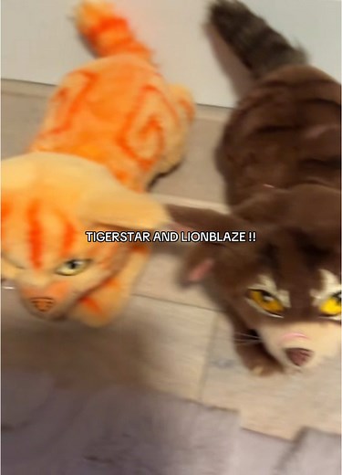 Tigerstar and Lionblaze: A Warrior Cats Edit