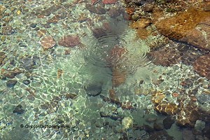 Barnes Warm Springs - Frenchglen | Eastern Oregon - Oregon Discovery