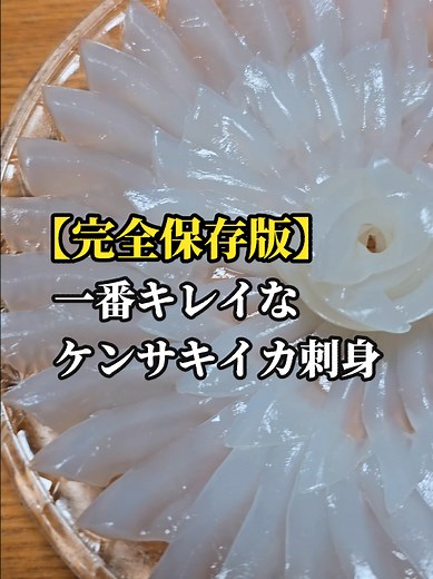 【完全版】釣れたケンサキイカで作る刺身のキレイな盛り付け方と捌き方 ゆっくり解説版 石川県イカメタルで釣れたケンサキイカ（アカイカ） 一番美味いイカで作る花造り イカそうめんの盛り付けに飽きたら絶対試してください #ケンサキイカ #刺身 #盛り付け