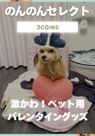 バレンタインスリコ購入品の紹介とおすすめ