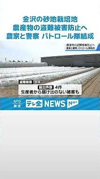 【“防げ！農産物盗難”でパトロール】金沢の砂地栽培地 防犯カメラ設置や巡回強化で被害防止へ #shorts