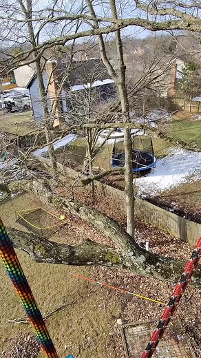 Ever wondered the benefits of midline attachability on the Rope Runner Vertec? @alltreesallseasons demonstrates it beautifully. 🙌 🎥: @alltreesallseasons #ElevatingArborists #NotchEquipment #Vertec | Notch Equipment