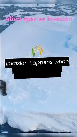 Uninvited guests :Disrupting balance of ecosystem- Alien species invasion