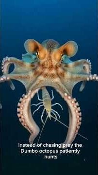 This Octopus Lives Where Even Submarines Struggle to Reach
