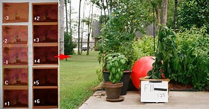 How Much Can You Overexpose Negative Film? Have a Look!