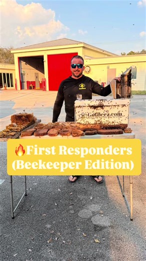 Live Bee Removal: Safely Relocating a Swarm