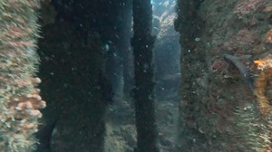 12K views · 90 reactions | Still Going Strong After 40 Years! The...