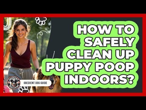 How To Safely Clean Up Puppy Poop Indoors?