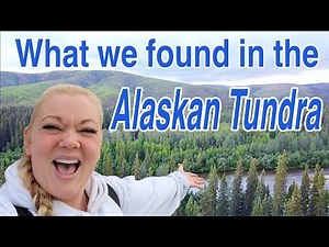 HIKING INTO ALASKA | WHAT THIS HAS BEEN FOR OUR FAMILY | Violett Vlogs