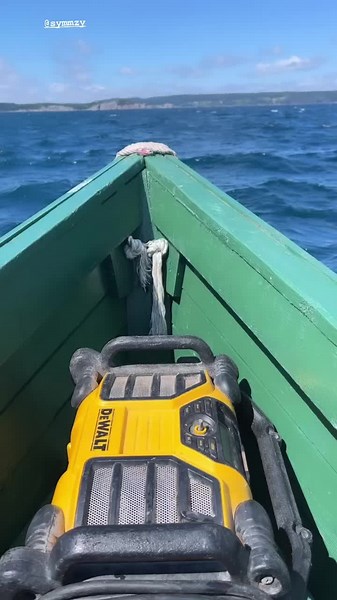 Fishing for Codfish: A Lovely Sunday Adventure