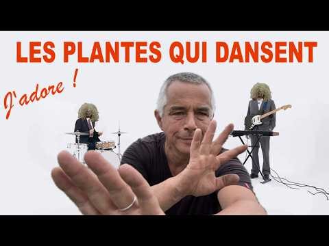 8 mars 2026