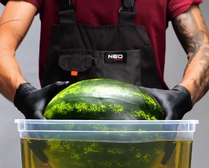 11K views · 26 reactions | How to Make a Resin Sink from Scratch | 5-Minute Crafts USA | Facebook