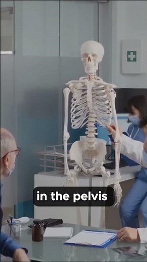 What is Your PROSTATE?