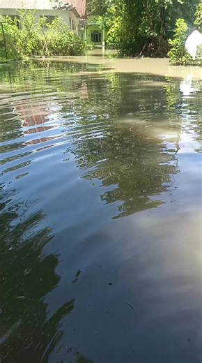 banjir kmrn.alhamdulillah skrg dh srut. tinggal menyisakan beceknya..