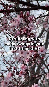 32 reactions | Pregnancy can be a whirlwind of changes, especially in...