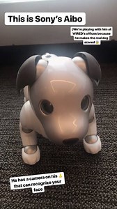 15K views · 54 reactions | WIRED writer Louise Matsakis took over our Facebook story today with Sony's Aibo, the company's beloved robo-pup. To check it out—and maybe get a peek at Louise's own very cute dog—check out WIRED's Facebook story! | WIRED | Facebook