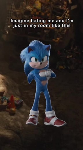 Sonic the Hedgehog: Celebrating Hedgehog Happiness