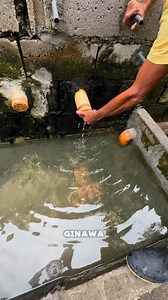 Pang tanggal ng stress ng bibe | Kahoneho