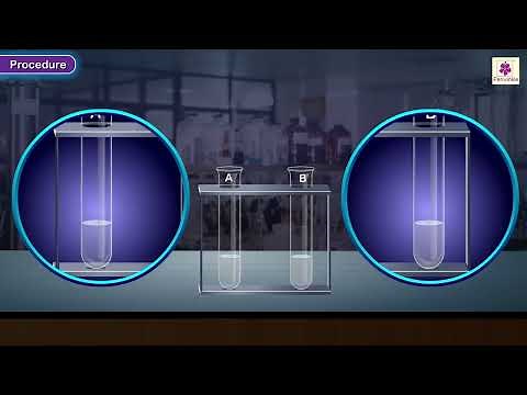 Double Displacement Reaction | Chemistry Experiment | Grade 10