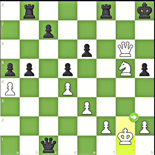 playing chess like a pro | for beginers