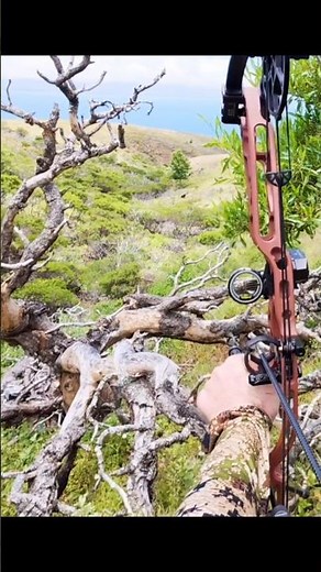Today’s Sudden Wild Goat Hunt 🐐🔥 #WildGoat #GoatHunting #TodayHunt #MountainHunting #HuntingLife