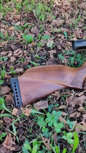 Gamo coyote Huma-Air Regulators